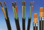 特種電纜行業 廣闊前景下的現狀剖析與未來展望